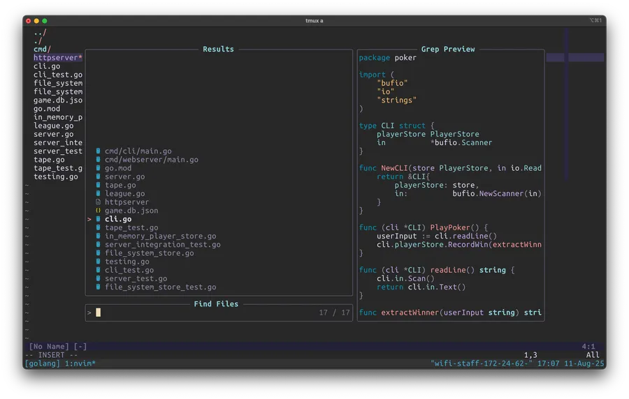 Telescope search results in Neovim with a Go source preview